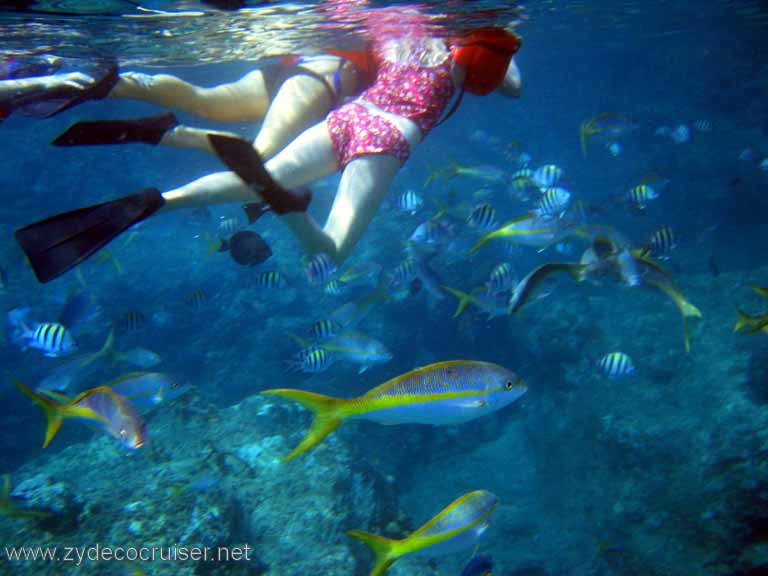 146: Sailing Yacht Arabella - British Virgin Islands - Norman Island - Snorkeling The Caves