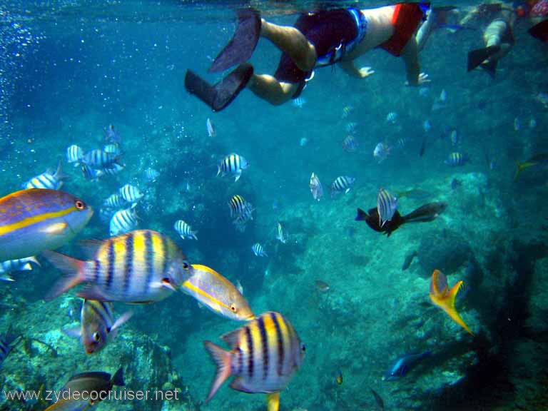 147: Sailing Yacht Arabella - British Virgin Islands - Norman Island - Snorkeling The Caves