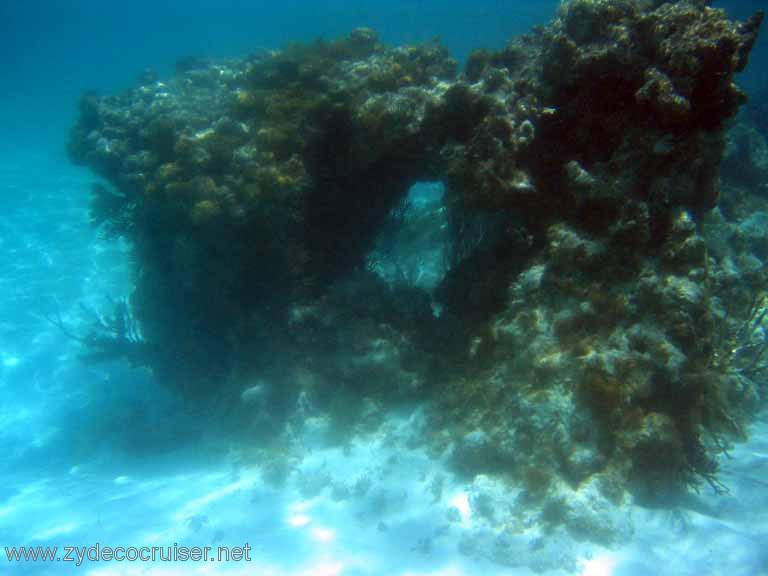 259: Sailing Yacht Arabella - British Virgin Islands - Snorkeling at Loblolly Bay