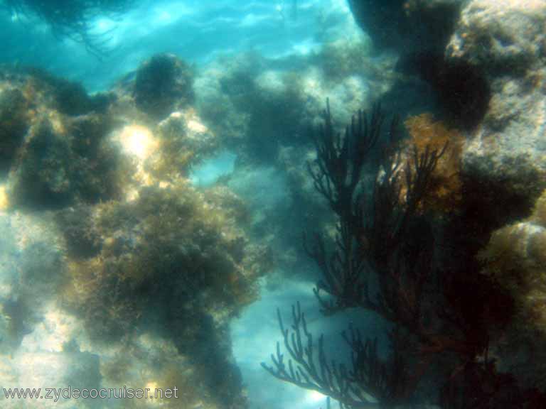 260: Sailing Yacht Arabella - British Virgin Islands - Snorkeling at Loblolly Bay