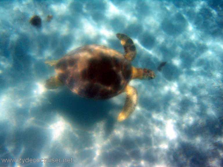 267: Sailing Yacht Arabella - British Virgin Islands - Snorkeling at Loblolly Bay