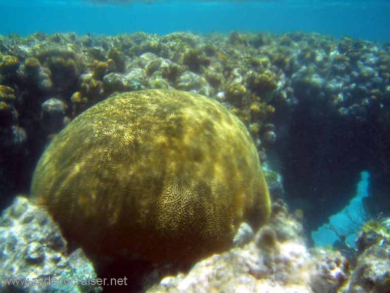 272: Sailing Yacht Arabella - British Virgin Islands - Snorkeling at Loblolly Bay