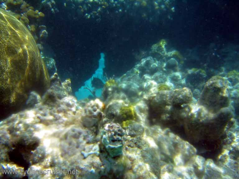 273: Sailing Yacht Arabella - British Virgin Islands - Snorkeling at Loblolly Bay