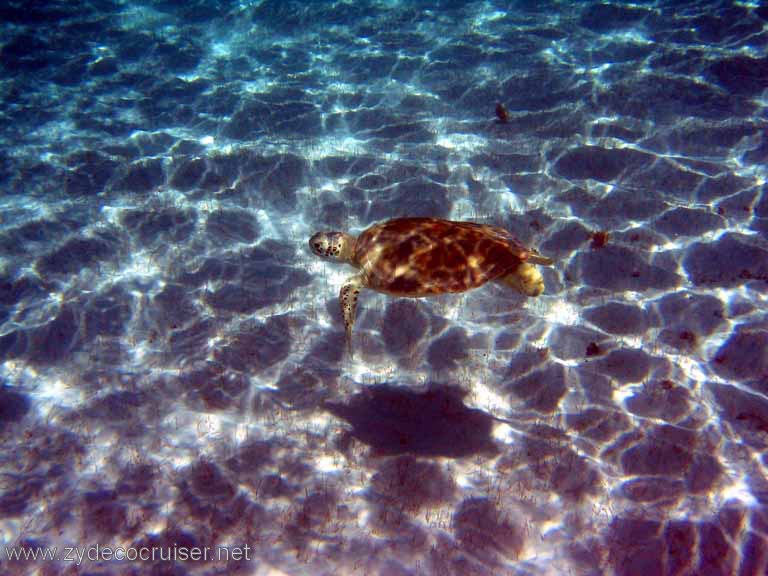 282: Sailing Yacht Arabella - British Virgin Islands - Snorkeling at Loblolly Bay