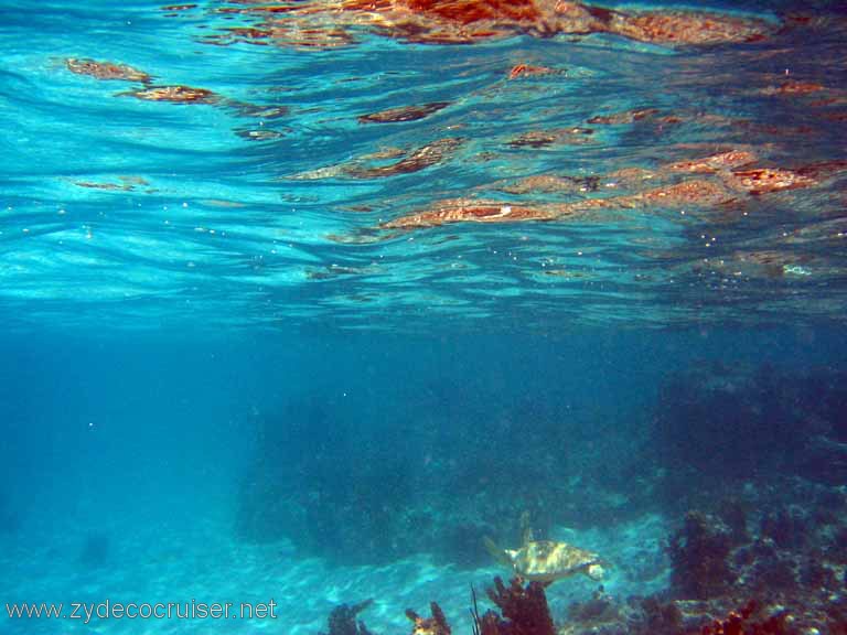 284: Sailing Yacht Arabella - British Virgin Islands - Snorkeling at Loblolly Bay