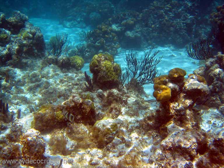 290: Sailing Yacht Arabella - British Virgin Islands - Snorkeling at Loblolly Bay