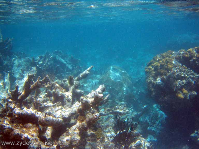 292: Sailing Yacht Arabella - British Virgin Islands - Snorkeling at Loblolly Bay