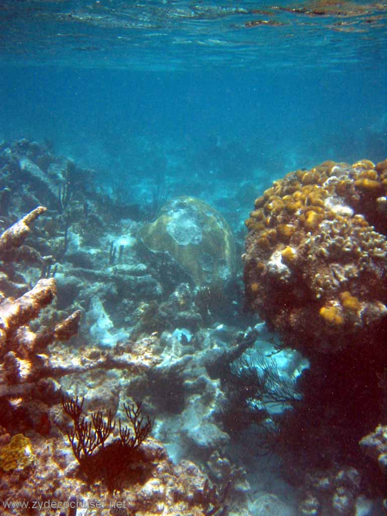 293: Sailing Yacht Arabella - British Virgin Islands - Snorkeling at Loblolly Bay