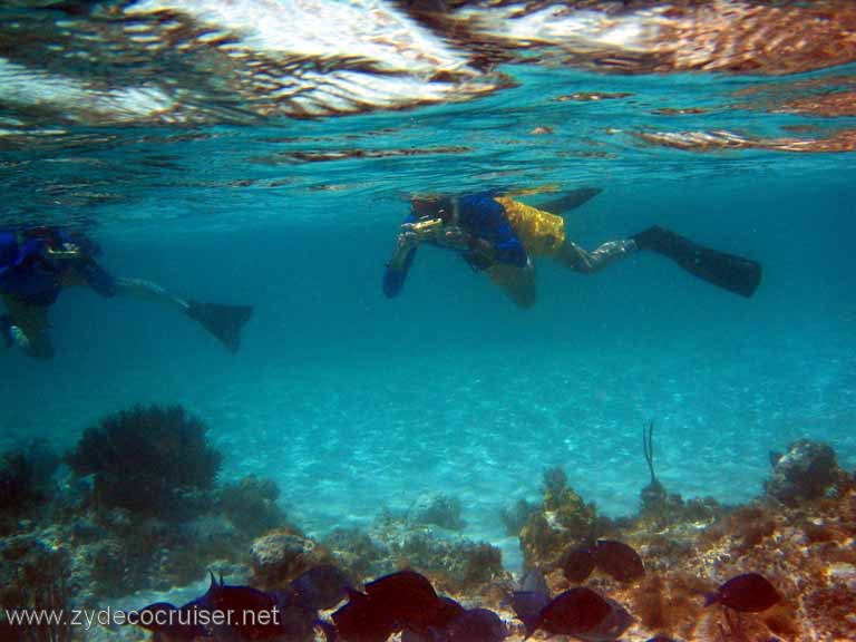 308: Sailing Yacht Arabella - British Virgin Islands - Snorkeling at Loblolly Bay