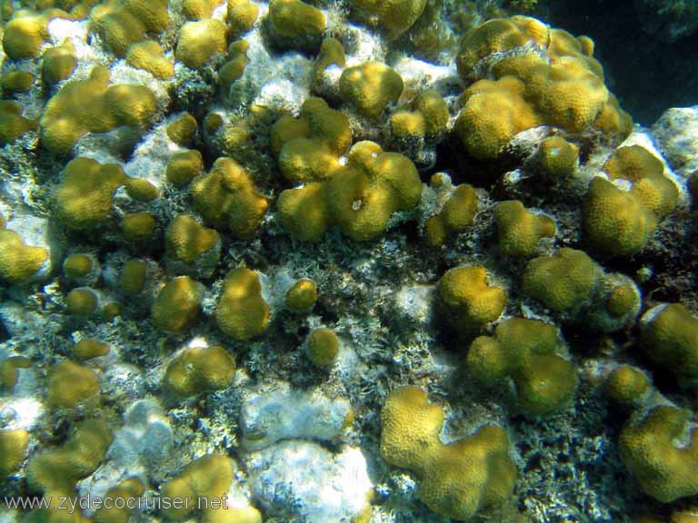 314: Sailing Yacht Arabella - British Virgin Islands - Snorkeling at Loblolly Bay