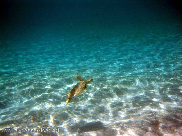 315: Sailing Yacht Arabella - British Virgin Islands - Snorkeling at Loblolly Bay