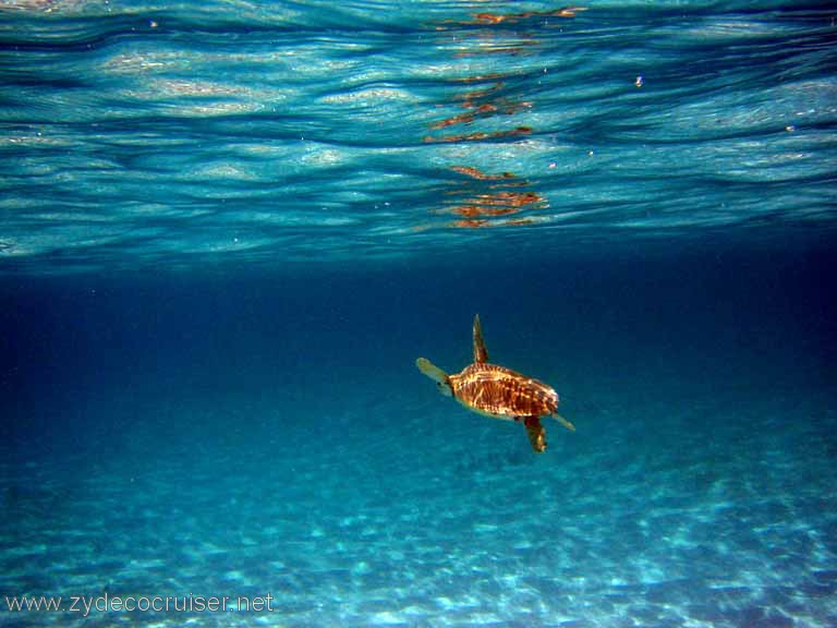 316: Sailing Yacht Arabella - British Virgin Islands - Snorkeling at Loblolly Bay