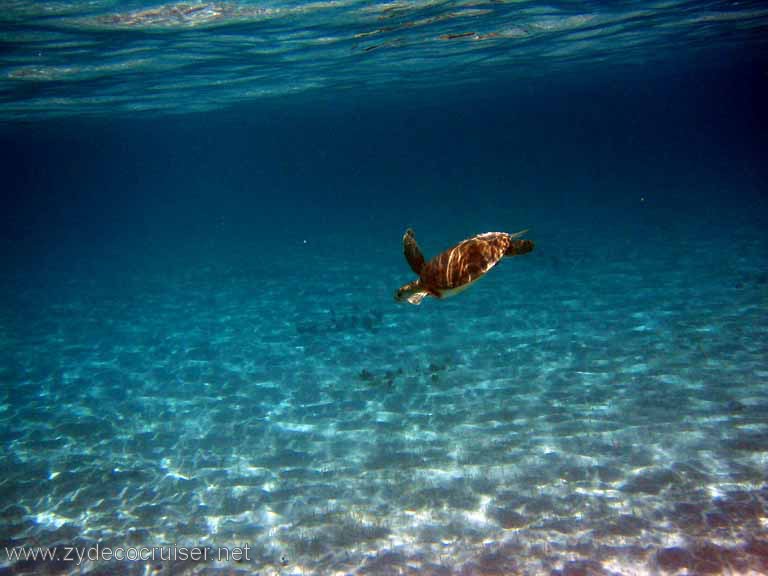 317: Sailing Yacht Arabella - British Virgin Islands - Snorkeling at Loblolly Bay