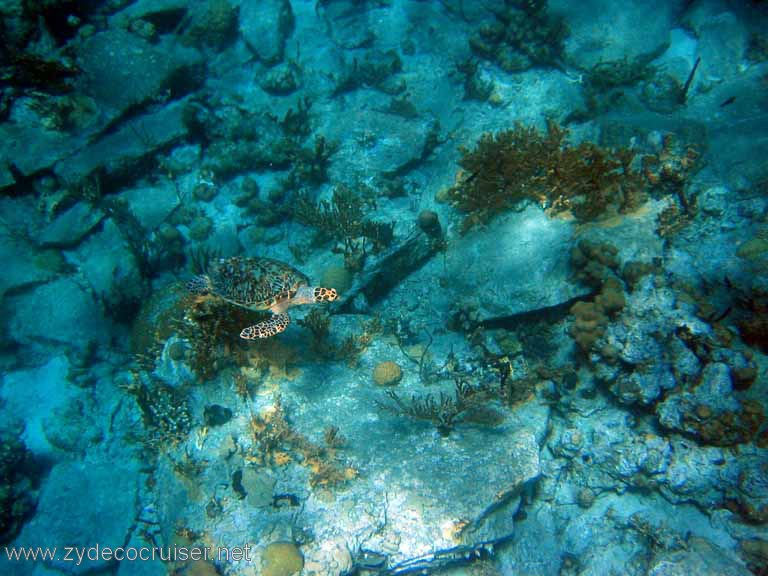 394: Sailing Yacht Arabella - British Virgin Islands - Cooper Island - Cistern Rock Snorkeling