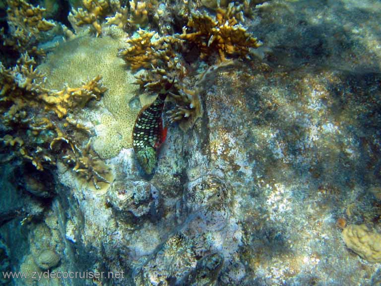 398: Sailing Yacht Arabella - British Virgin Islands - Cooper Island - Cistern Rock Snorkeling