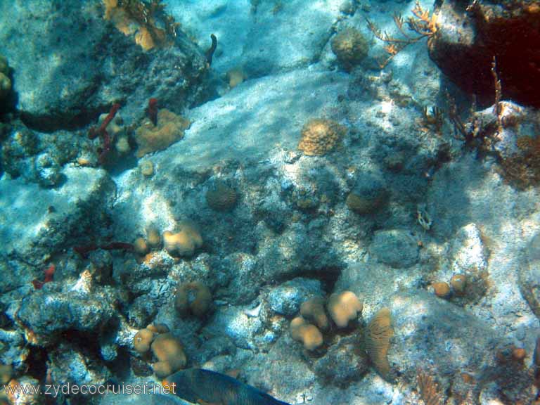 404: Sailing Yacht Arabella - British Virgin Islands - Cooper Island - Cistern Rock Snorkeling