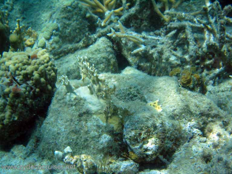 406: Sailing Yacht Arabella - British Virgin Islands - Cooper Island - Cistern Rock Snorkeling