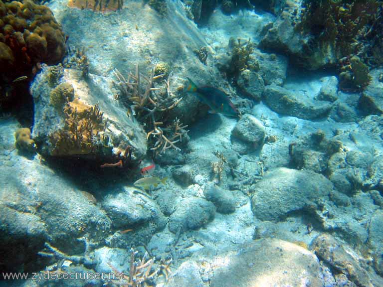 408: Sailing Yacht Arabella - British Virgin Islands - Cooper Island - Cistern Rock Snorkeling