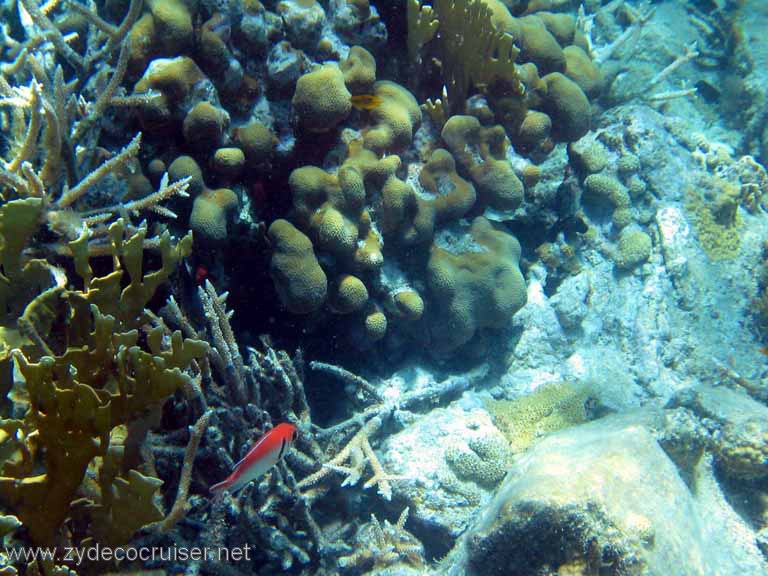 409: Sailing Yacht Arabella - British Virgin Islands - Cooper Island - Cistern Rock Snorkeling