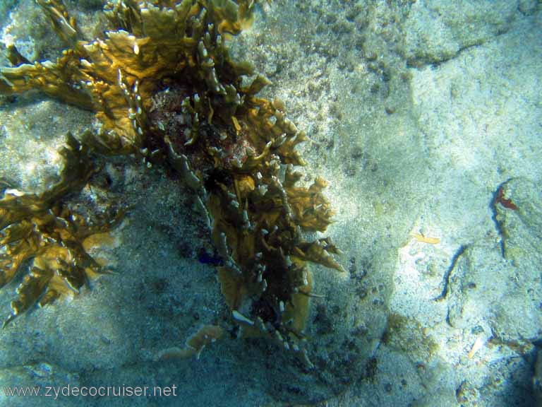 413: Sailing Yacht Arabella - British Virgin Islands - Cooper Island - Cistern Rock Snorkeling