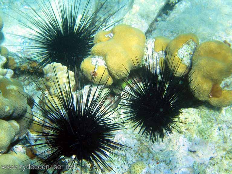 416: Sailing Yacht Arabella - British Virgin Islands - Cooper Island - Cistern Rock Snorkeling