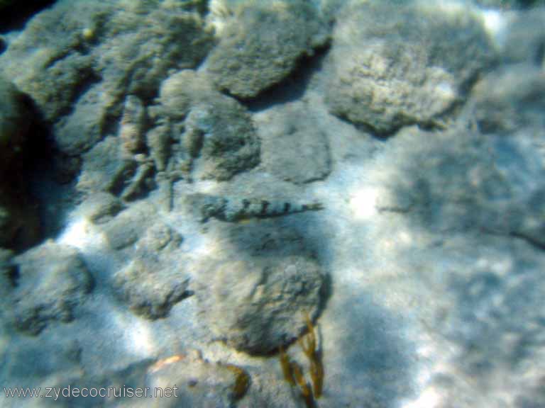 428: Sailing Yacht Arabella - British Virgin Islands - Cooper Island - Cistern Rock Snorkeling