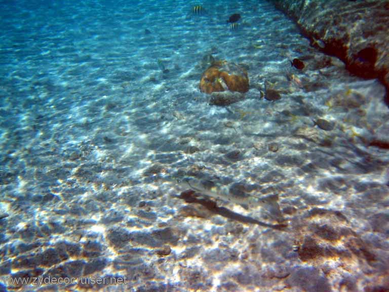 436: Sailing Yacht Arabella - British Virgin Islands - Cooper Island - Cistern Rock Snorkeling