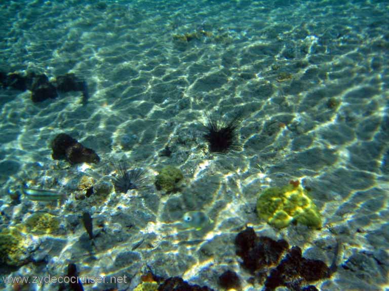 437: Sailing Yacht Arabella - British Virgin Islands - Cooper Island - Cistern Rock Snorkeling