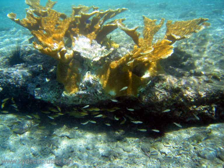 442: Sailing Yacht Arabella - British Virgin Islands - Cooper Island - Cistern Rock Snorkeling