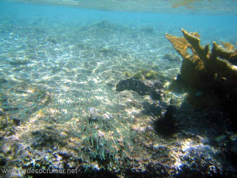 443: Sailing Yacht Arabella - British Virgin Islands - Cooper Island - Cistern Rock Snorkeling