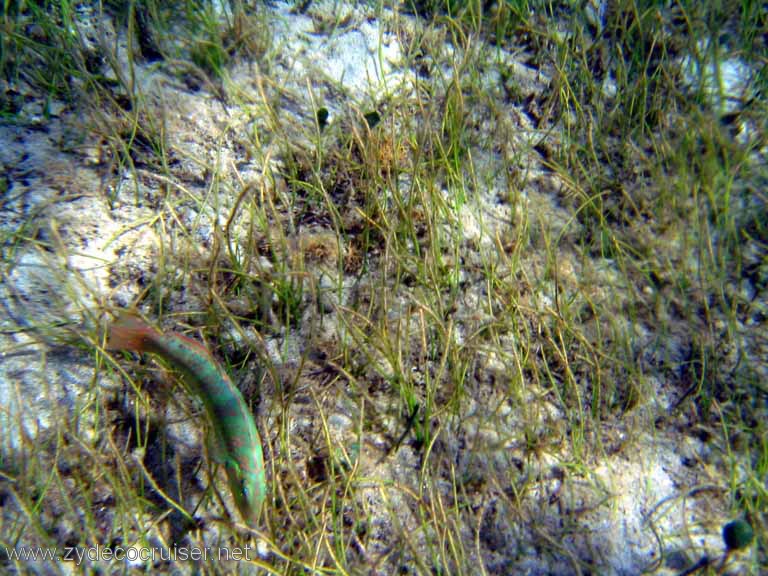 446: Sailing Yacht Arabella - British Virgin Islands - Cooper Island - Cistern Rock Snorkeling