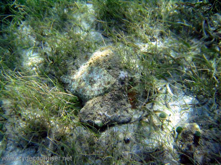 450: Sailing Yacht Arabella - British Virgin Islands - Cooper Island - Cistern Rock Snorkeling