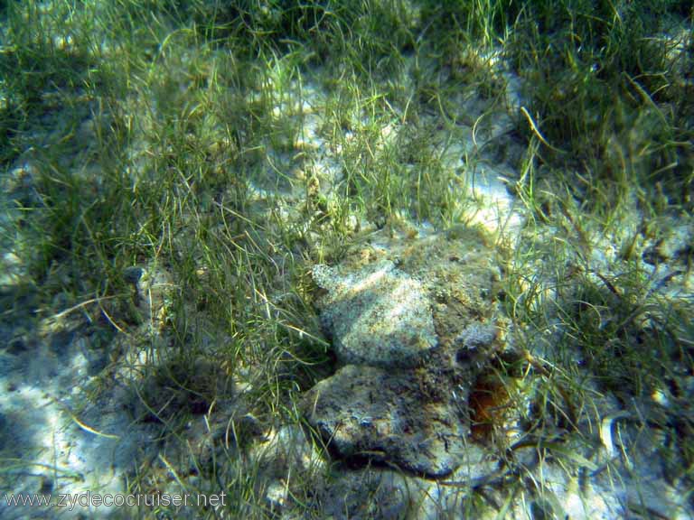 452: Sailing Yacht Arabella - British Virgin Islands - Cooper Island - Cistern Rock Snorkeling