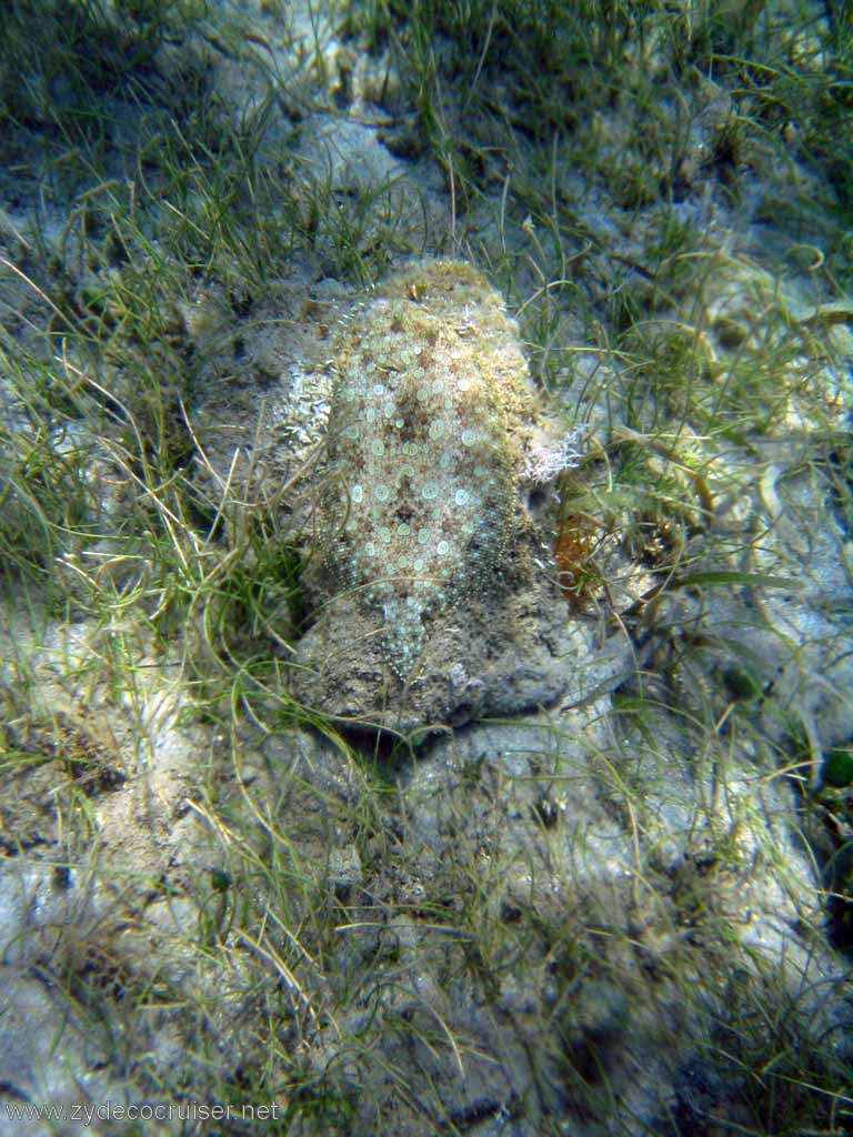 454: Sailing Yacht Arabella - British Virgin Islands - Cooper Island - Cistern Rock Snorkeling