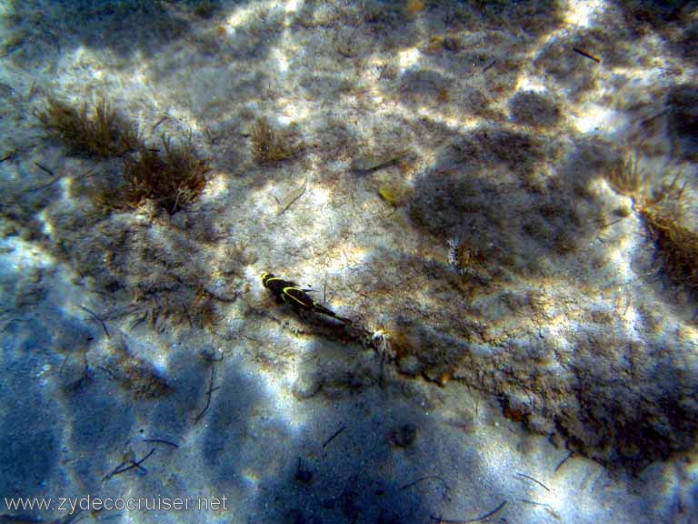 458: Sailing Yacht Arabella - British Virgin Islands - Cooper Island - Cistern Rock Snorkeling