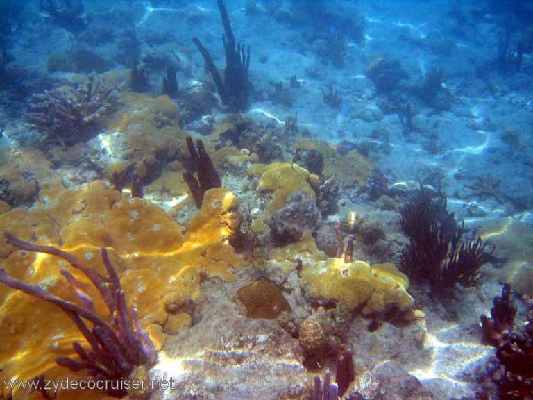 503: Sailing Yacht Arabella - British Virgin Islands - Jost Van Dyke Snorkeling - 