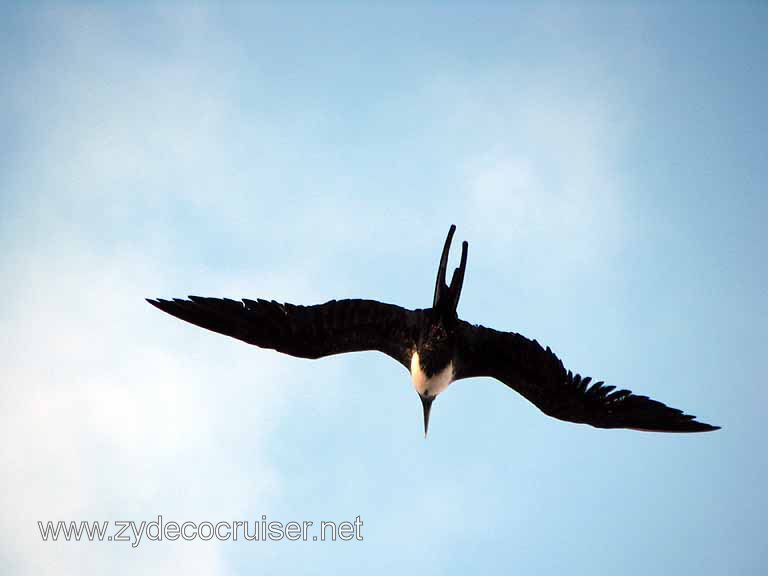 109: Carnival Freedom, Grand Cayman, 