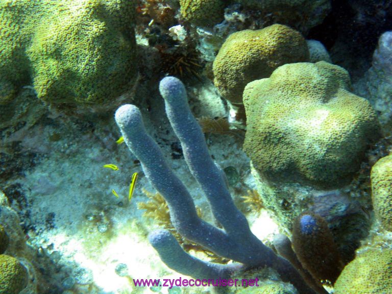 Snorkeling, Costa Maya, Mexico