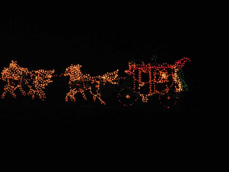 078: Kentucky Horse Park, Southern Lights, 2007