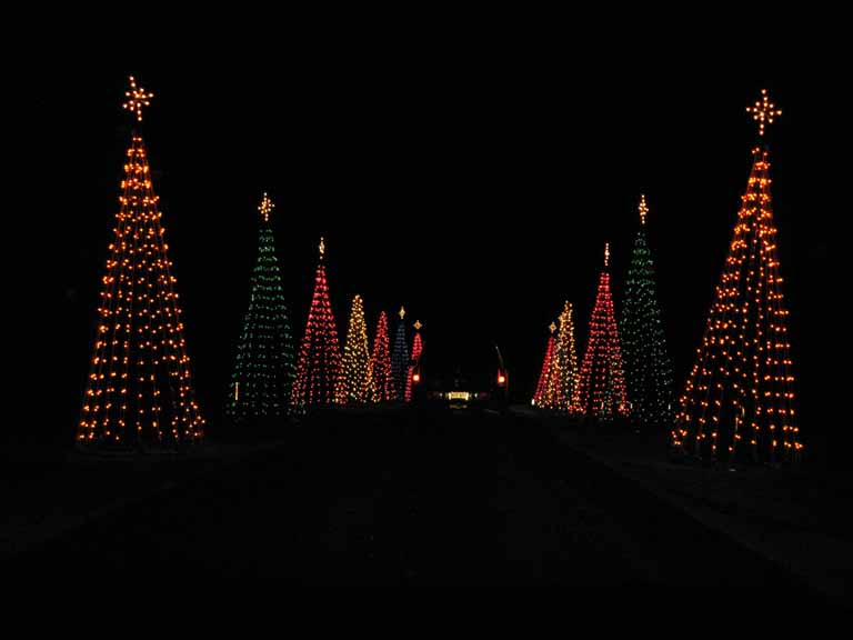 087: Kentucky Horse Park, Southern Lights, 2007