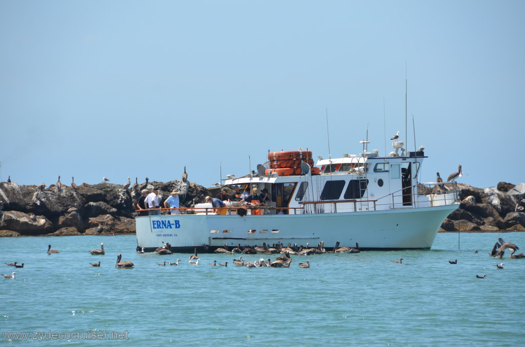 030: Island Packers, Island Wildlife Cruise, 