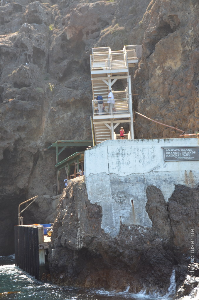 115: Island Packers, Island Wildlife Cruise, Anacapa Island, 