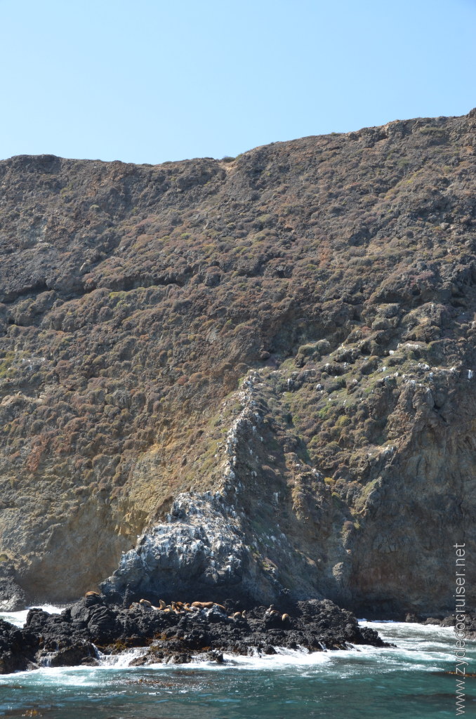 163: Island Packers, Island Wildlife Cruise, Anacapa Island, 