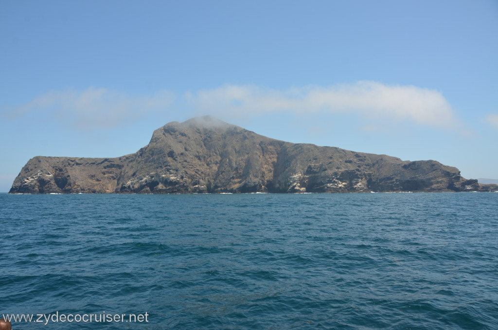 267: Island Packers, Ventura, CA, Whale Watching, 