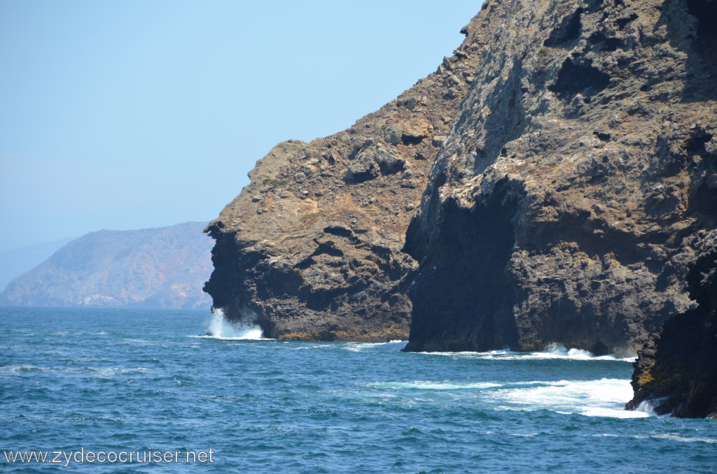 281: Island Packers, Ventura, CA, Whale Watching, 