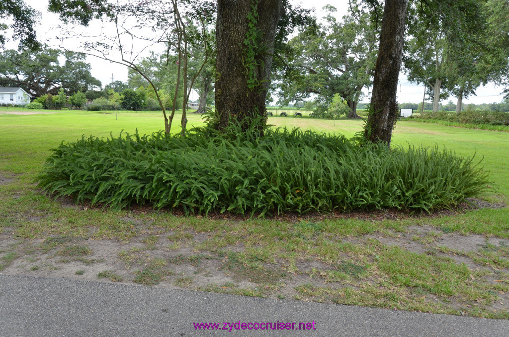 010: Oak Alley Plantation, 