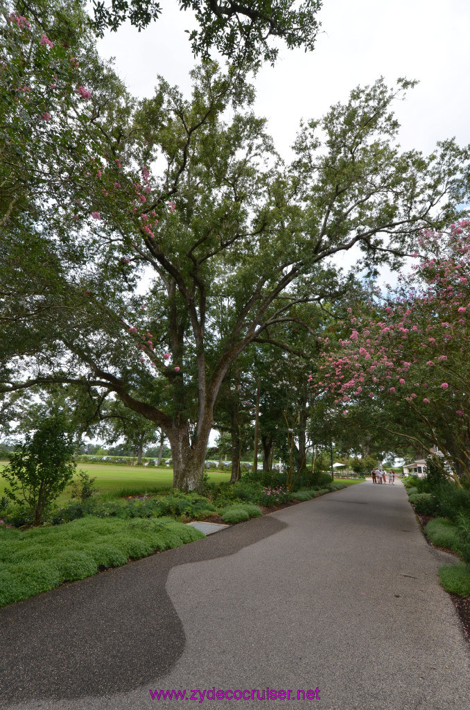 013: Oak Alley Plantation, 