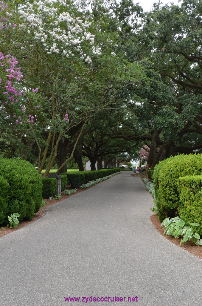 032: Oak Alley Plantation, 