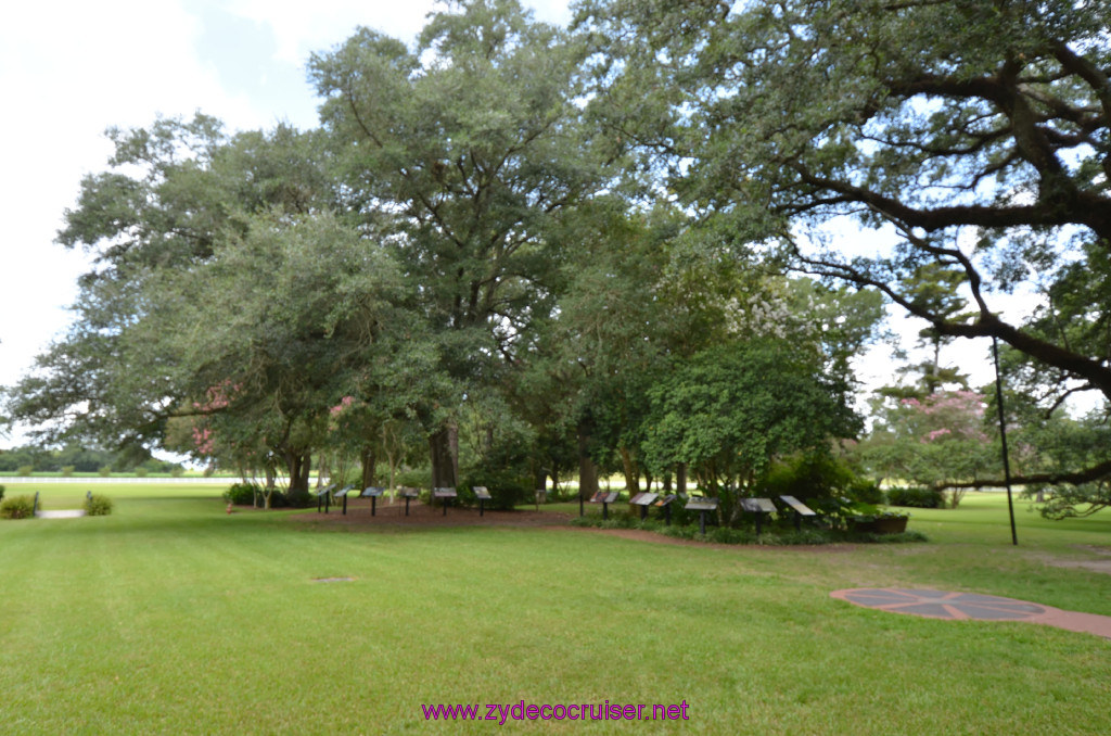 036: Oak Alley Plantation, 