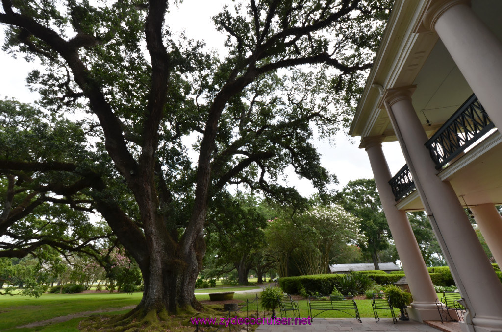 037: Oak Alley Plantation, 